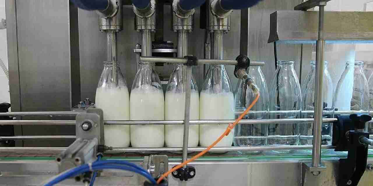 Toplanan inek sütü miktarı ağustosta düştü