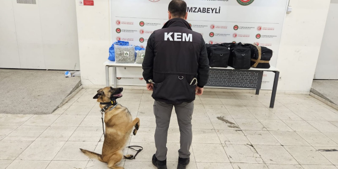 Gümrük kapısında paket paket esrar ele geçirildi