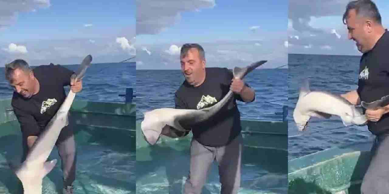 Karadeniz’de nadir görülüyor: Balıkçıların ağına takıldı!