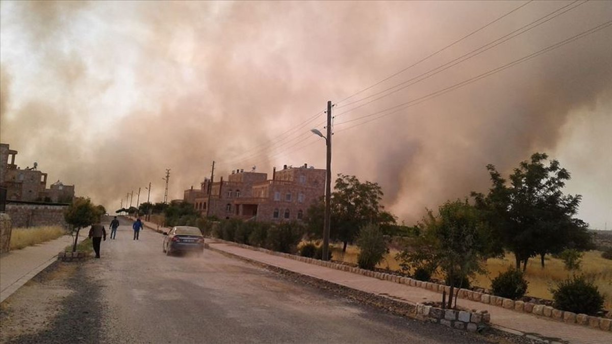 Mardin'de orman yangını! 6 Süryani köyü ve Botaş İstasyonu tehdit altında