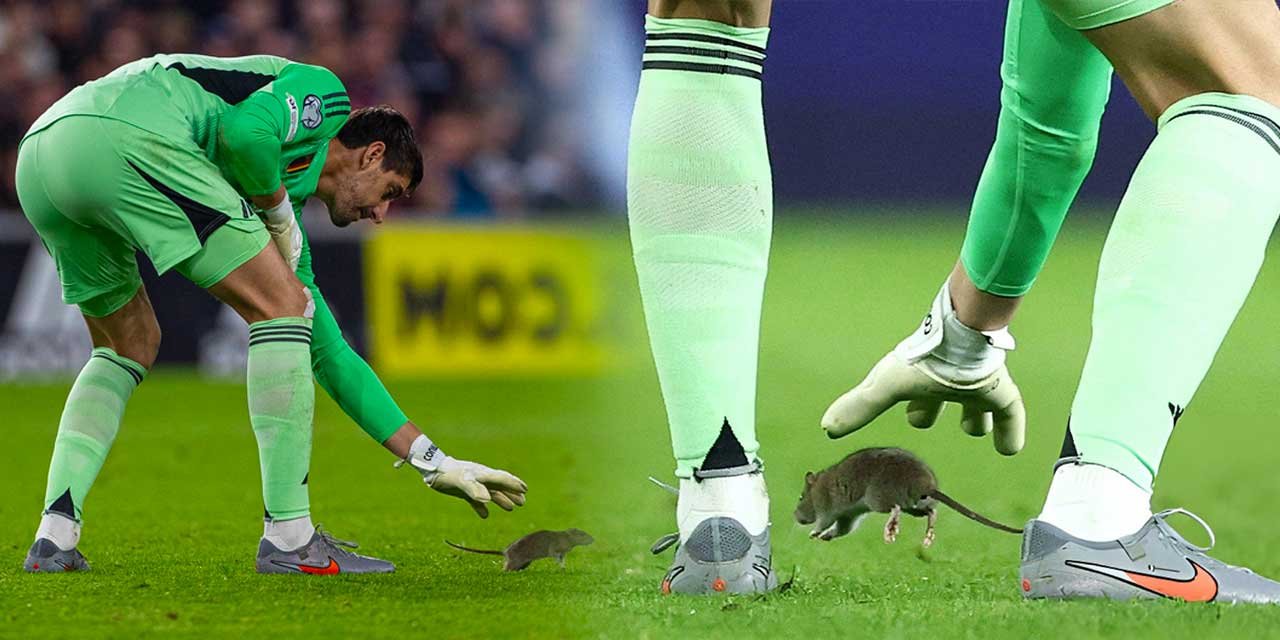 Dünya Kupası eleme maçında sahaya fare girdi: Ünlü kaleci tutamadı