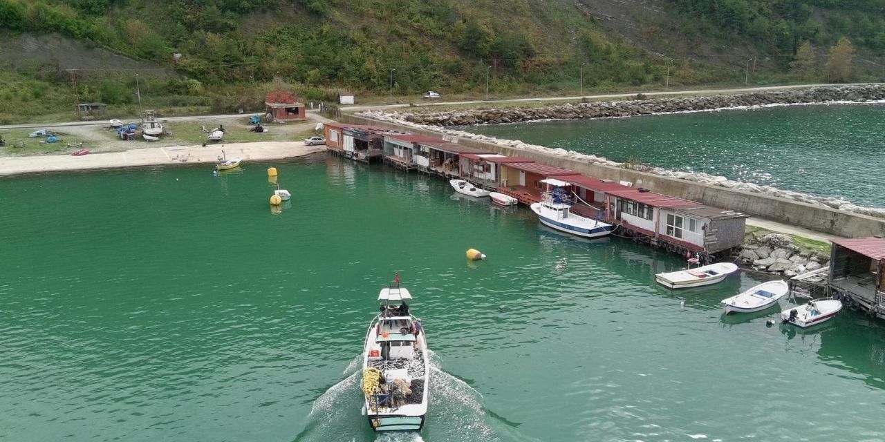 Küçük teknesiyle denize açıldı döndüğünde herkes şaşırdı: Yunuslar yardım etmiş