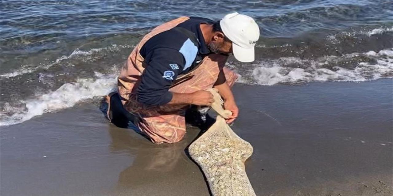 Kaçak yollarla avlanan 1 ton kum şırlanı ele geçirildi