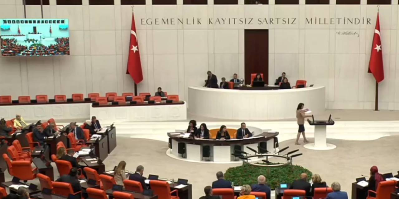 Rojin Kabaiş'in şüpheli ölümünün araştırılması için verilen öneri AK Parti- MHP oylarıyla reddedildi