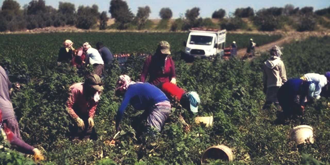 Memleketin toprağı sahipsiz kaldı! Tarımda en büyük risk ortaya çıktı