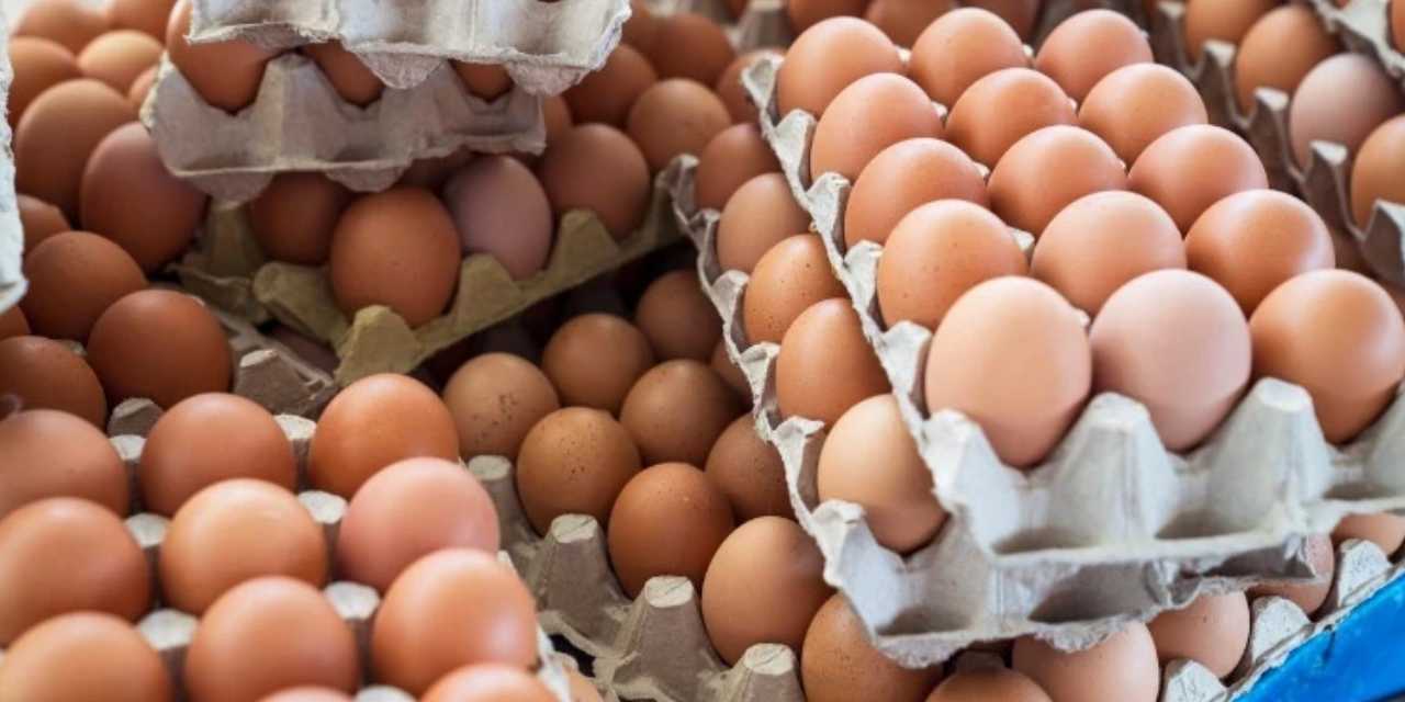 Yumurtanın fiyatı 240 lira oldu! Yoksulun proteini nasıl etle yarışacak hale geldi?