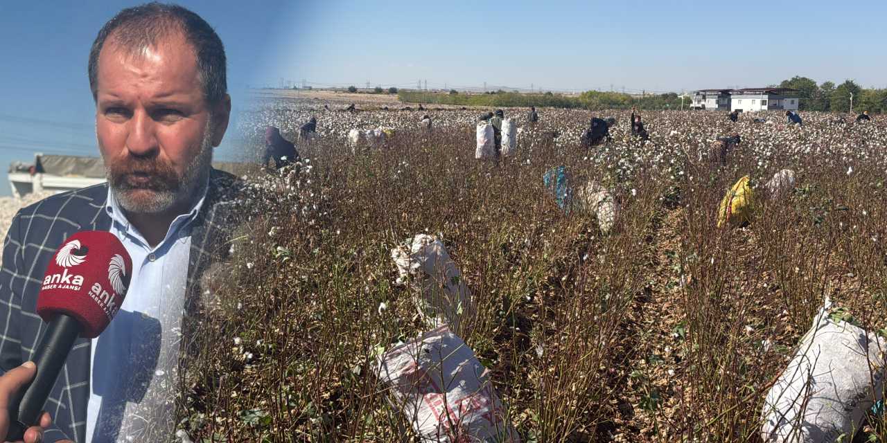 Diyarbakır'dan feryat etti: Türkiye görsün bizi bitirdiler: Sevinsinler!