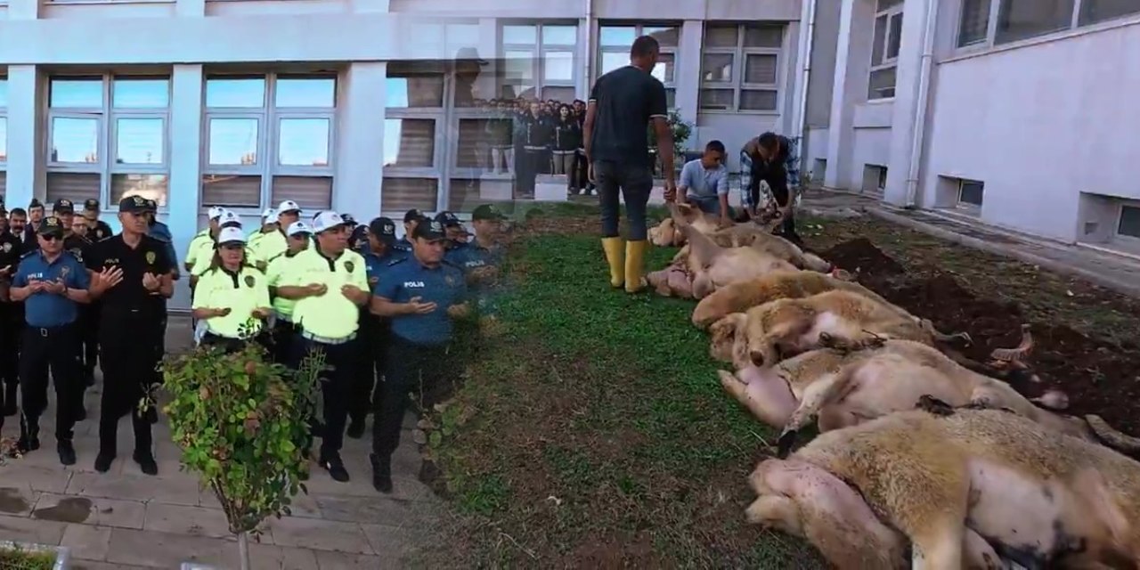 Bayğaralar operasyonu böyle kutlandı! Emniyet bahçesinde kurban kestiler