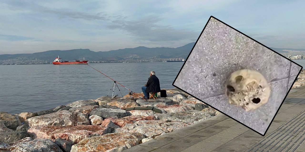 Balık tutarken dehşeti yaşadı: Oltaya kafatası takıldı