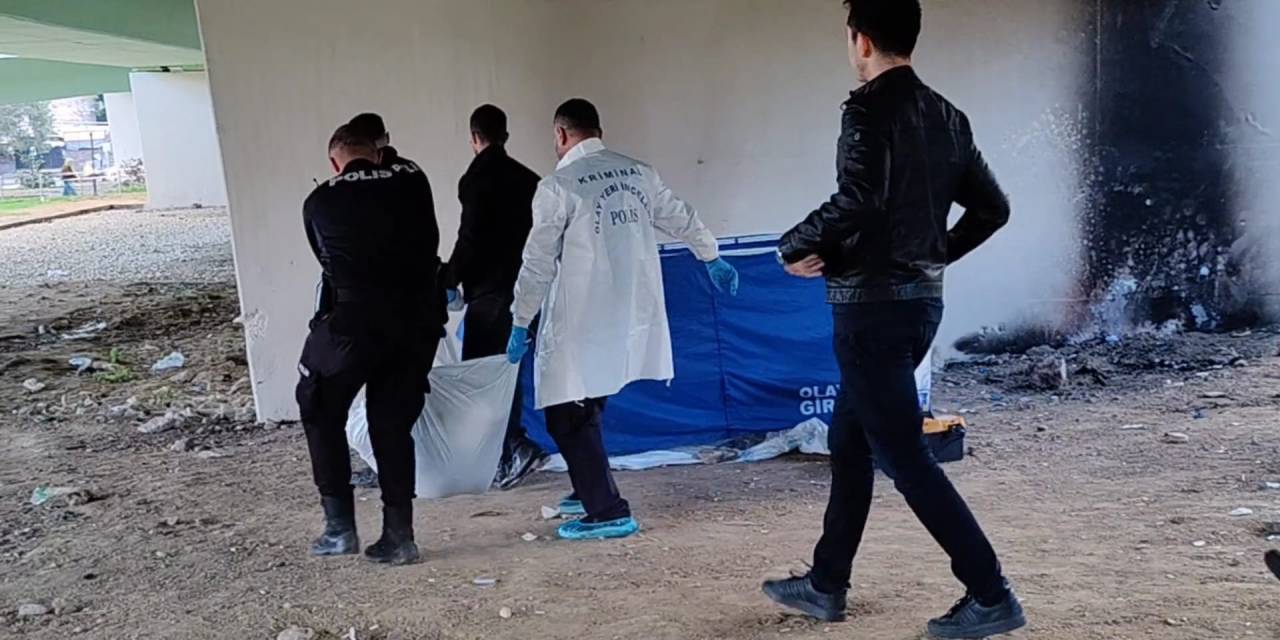 Sokakta yaşayan evsiz ölü bulundu