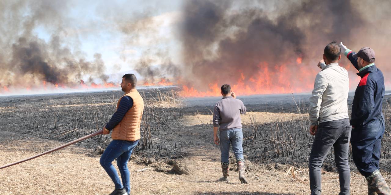 Nehil Sazlığı'nda yangın! Birçok kuş türüne ev sahipliği yapıyor