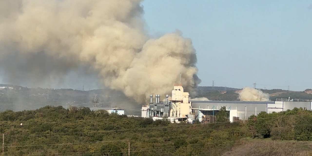 Ahşap fabrikasının bahçesinde yangın çıktı