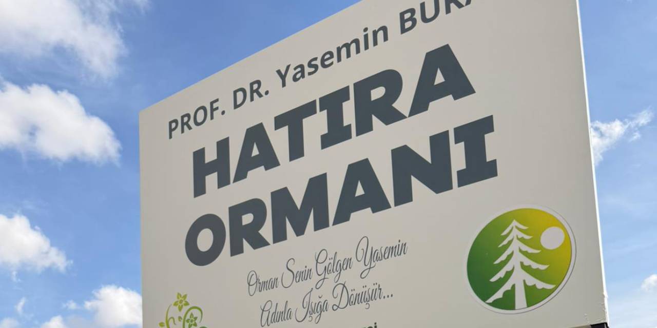 Trafik kazasında ölen profesör için hatıra ormanı