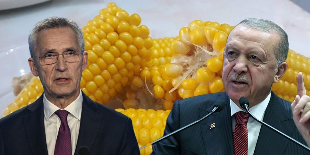 Stoltenberg anlattı: Erdoğan ile savaş konuşurken birden 'Mısır sever misin?' dedi ve hepimiz mısır yedik