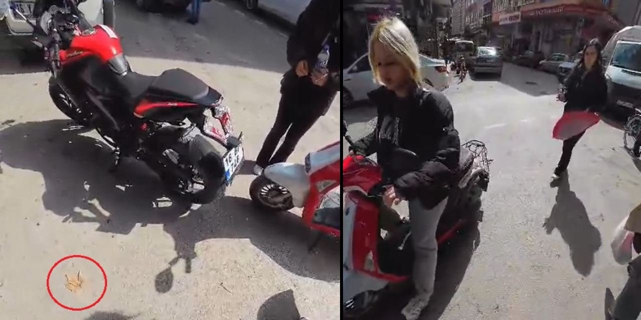 Kaza yaptı faturayı sonbahara kesti: Sürücünün 'yaprak' savunması güldürdü