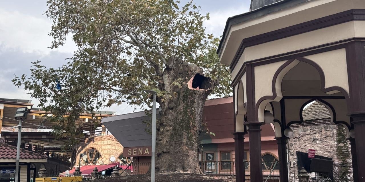 Bursa'nın yaşayan tarihi yaralandı: Ulu Cami çınarının dalı kırıldı