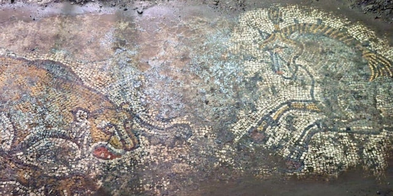Çalınan bin 500 yıllık mozaik Mardin'de bulundu