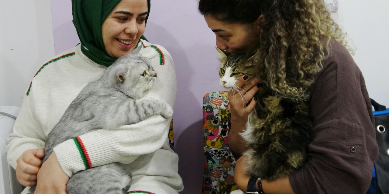 Herkes umudunu kesmişken o "Tombik oğlan" çıka geldi