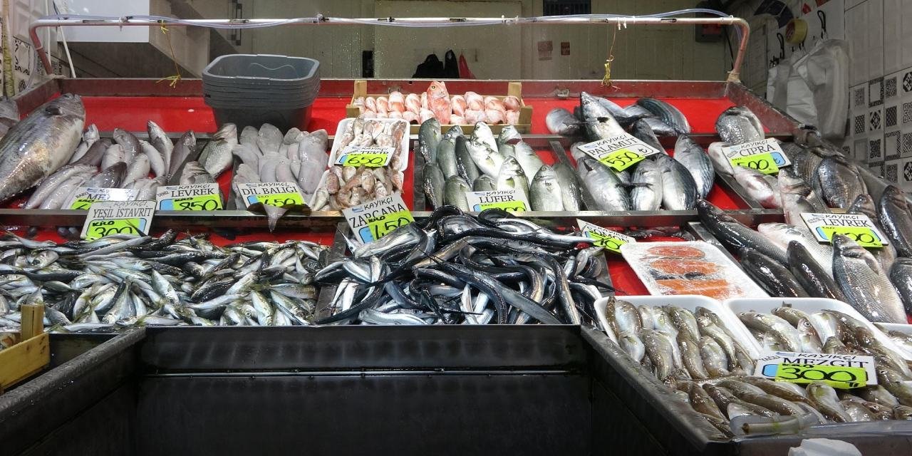 Karadeniz'de hamsi bolluğu: Balıkçılar suların soğumasını bekliyor