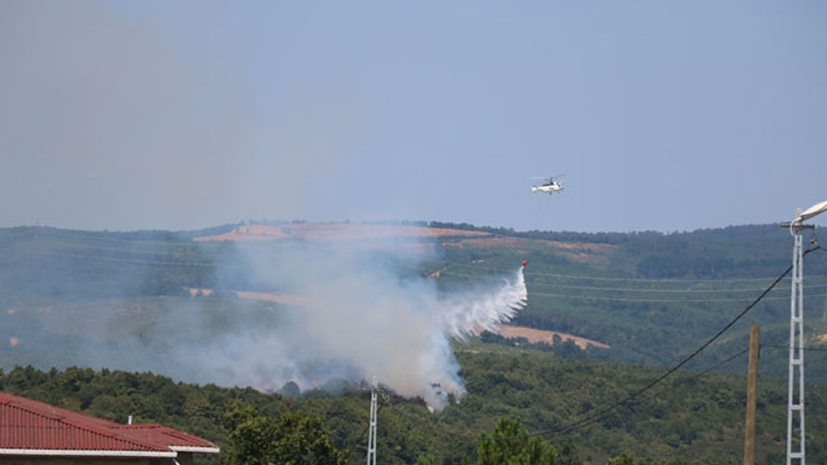 Pendik'te orman yangını: 4 dönüm ormanlık alan zarar gördü