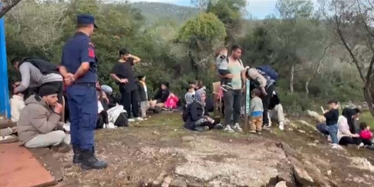 Milas'ta kaçak göçmen operasyonu: 74 kişi yakalandı