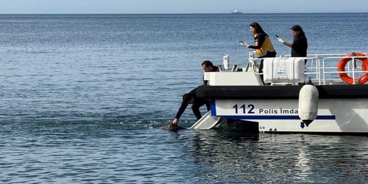 Balıkesir'de sır dolu ölüm: Cansız bedeni denizden çıktı