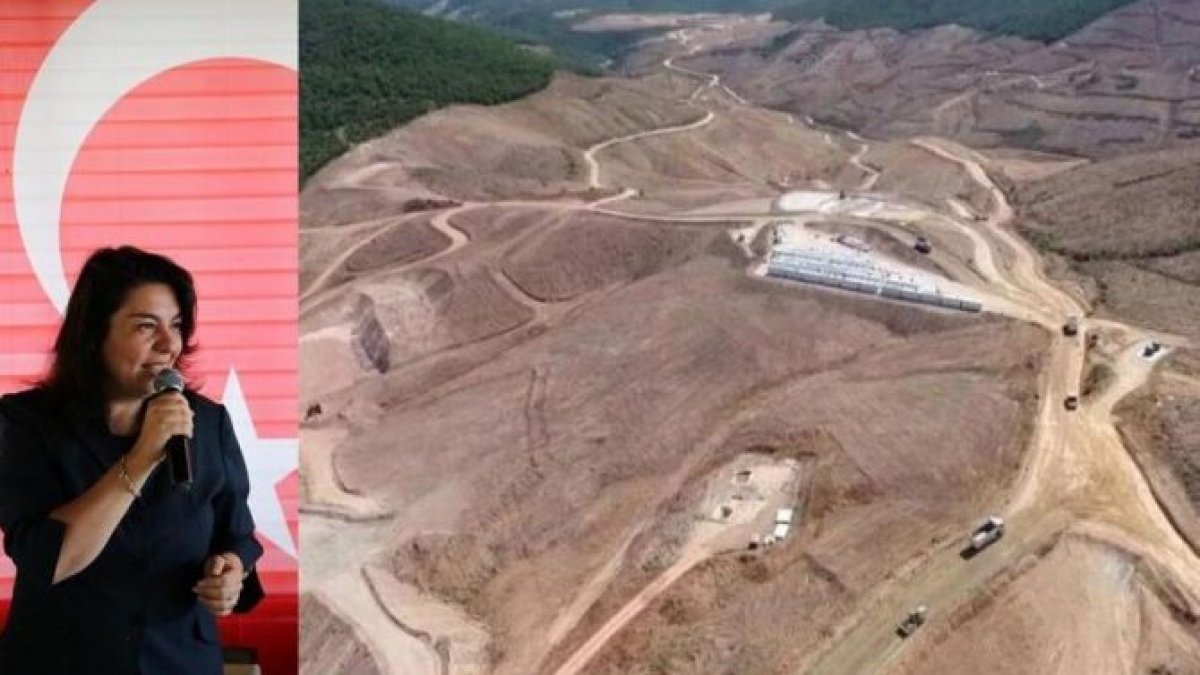AKP’li vekilden Kaz Dağları’ndaki ağaç katliamına skandal savunma! 