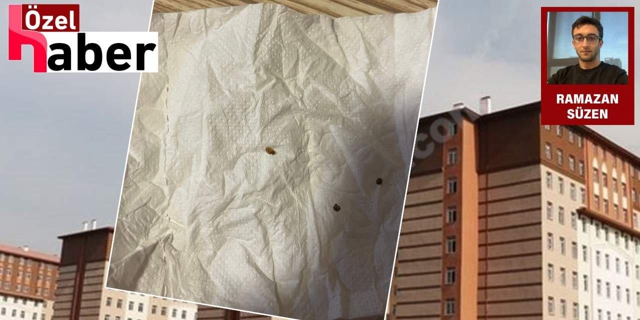 KYK yurdunu tahta kuruları istila etti: Yurt yönetimi öğrencileri suçladı iddiası