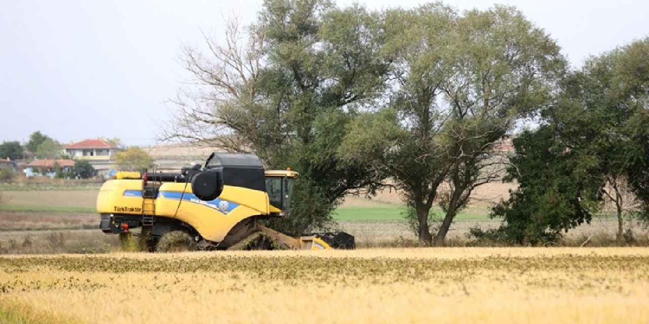Trakya'da hasat tamamlandı: Nisan yağışları verimi arttırdı!