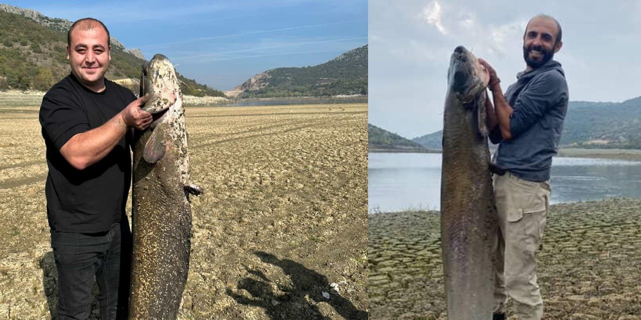 Su seviyesi düştü yayın balığı avına çıktılar!  Gururla da paylaştılar
