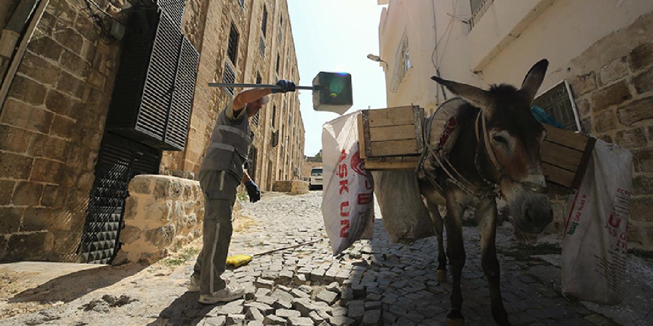 Kadrolu eşekler emekliye ayrılıyor
