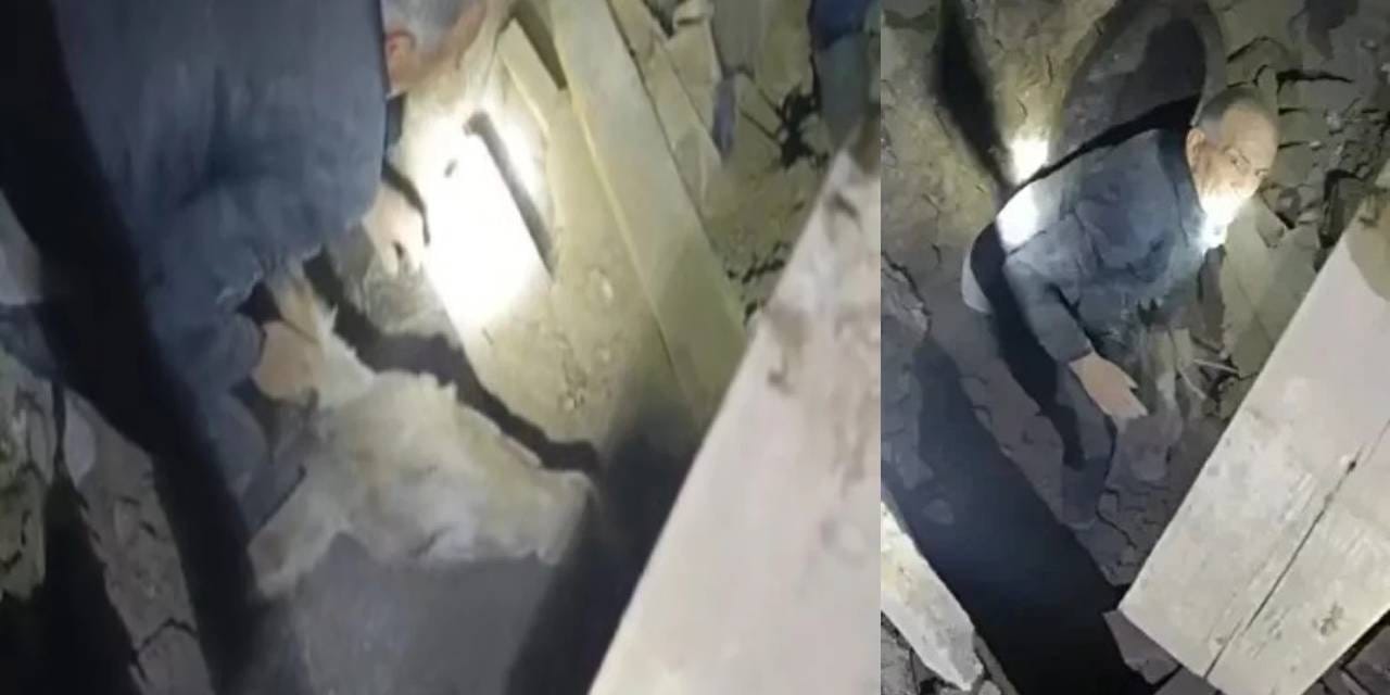 Kadife eşek depremde yıkılan ahırdan kurtarılmıştı! Sahibi: Dünyalar benim oldu