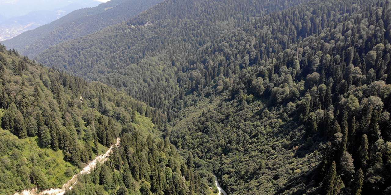 Çığ ve erozyonu önleyen 'Muhafaza ormanları' madenciliğe açılacak iddiası!