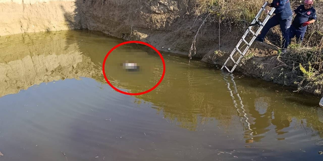Su dolu çukurda kadın cesedi bulundu