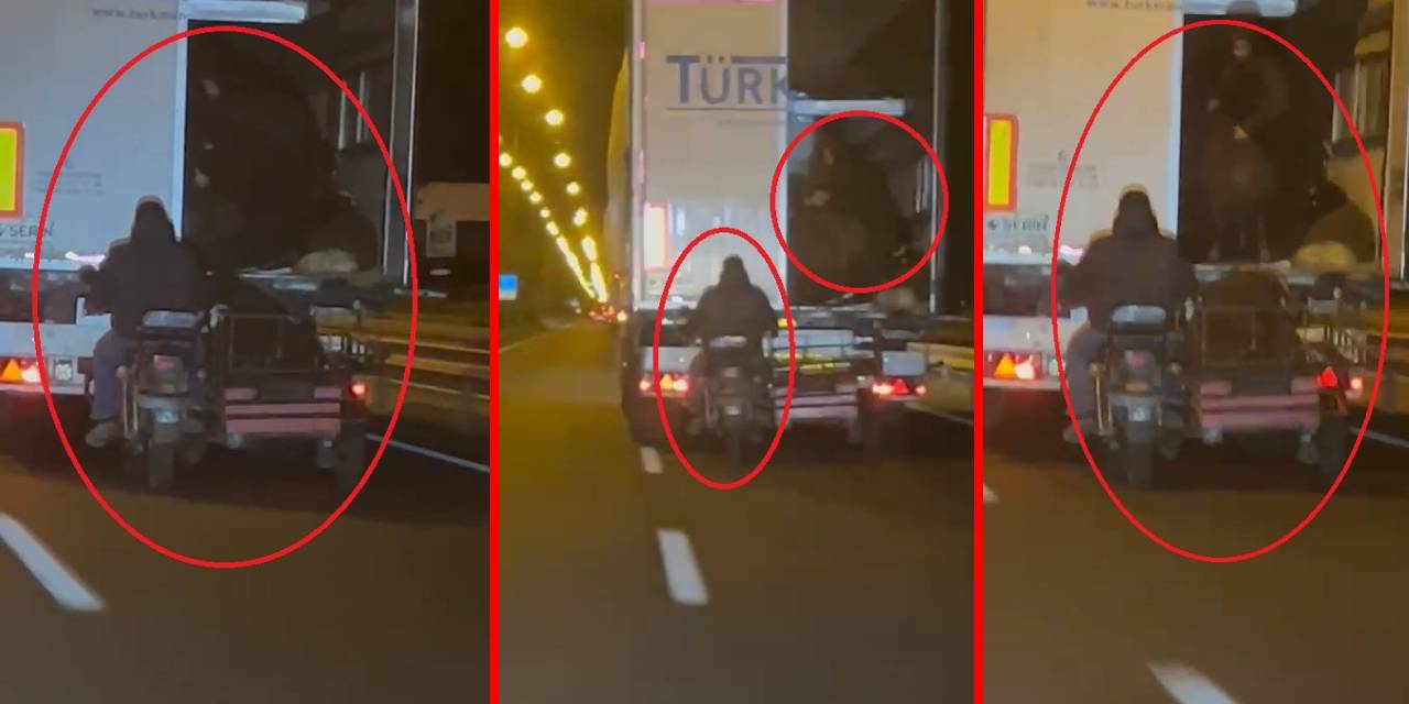 Hırsızlığın böylesi görülmedi! Hareket halindeki TIR’dan koyun çaldılar