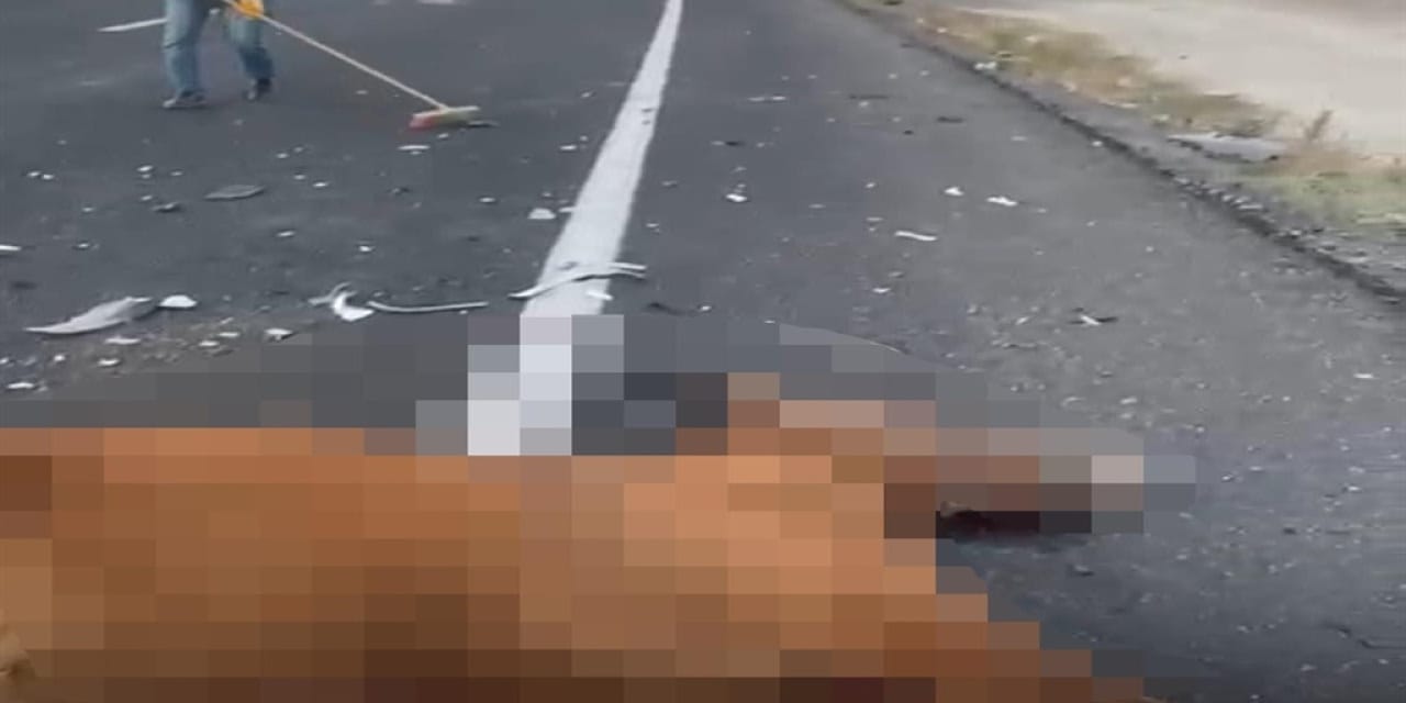 Nevşehir’de iki ata çarpıp öldüren sürücü kaçtı