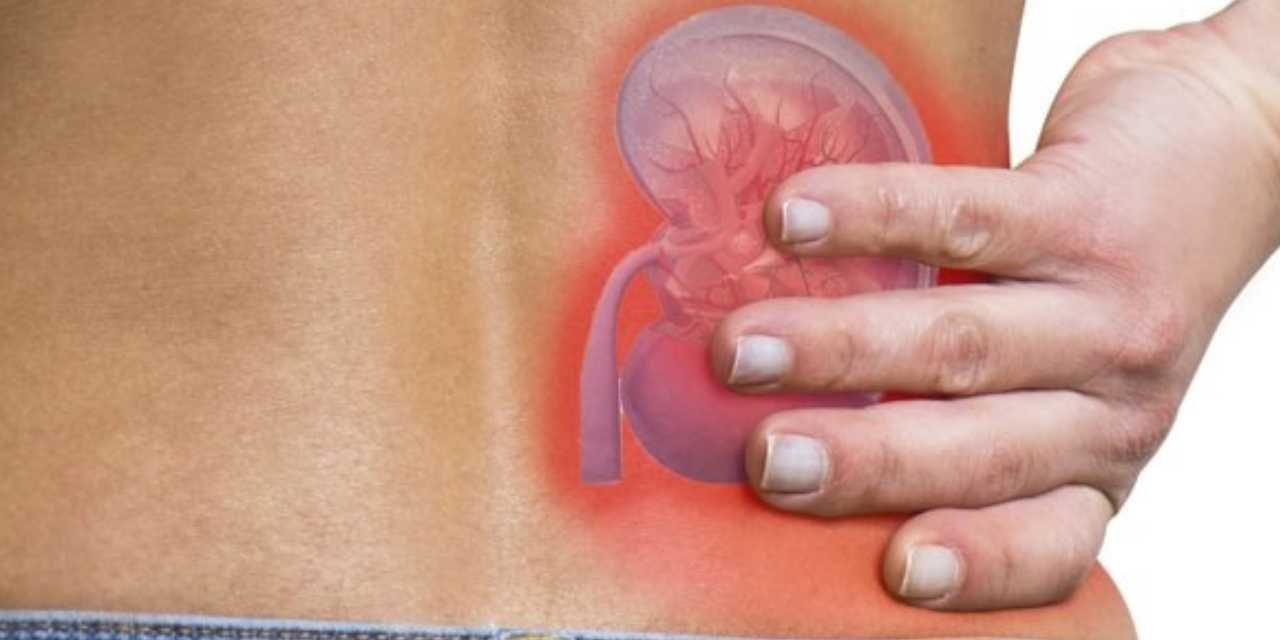 Sahibinden satılık böbrek: Alkol, sigara yok...