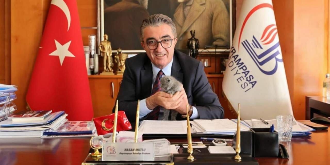 Hasan Mutlu'nun kedisine bile tahammül edemediler: Önce sosyal medya fotoğrafları şimdi de sahiplendiği hayvanı