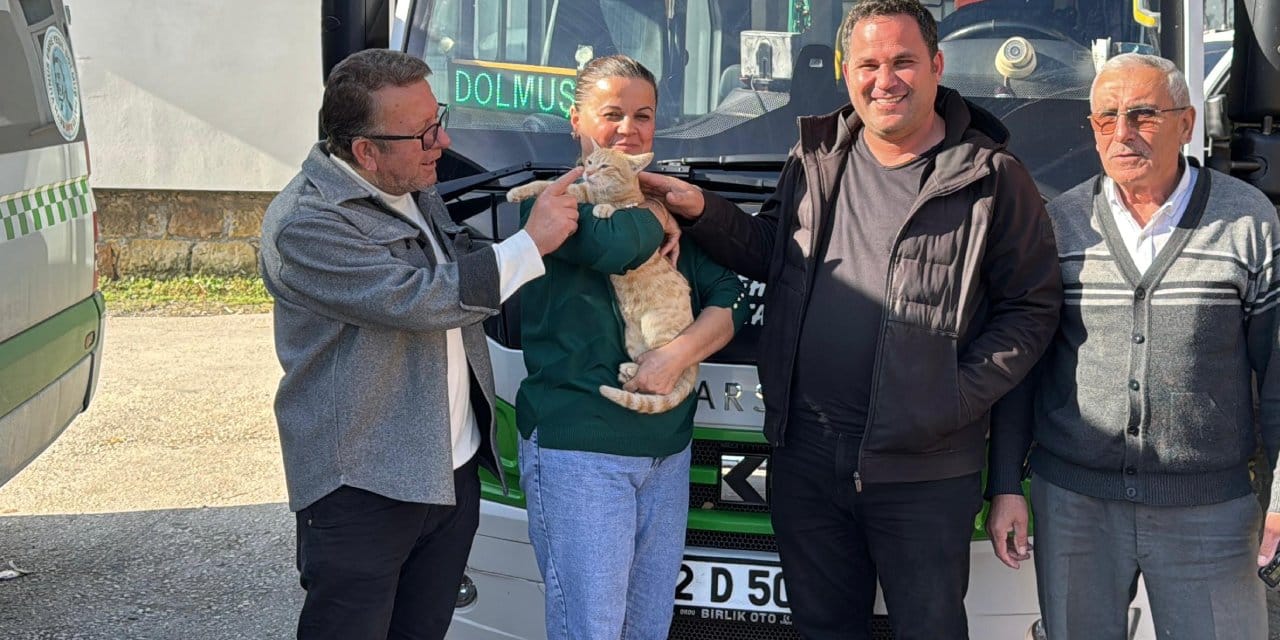 Dolmuş şoförleri kedi için seferber oldu! Ameliyat masrafını karşıladılar bakın ismini ne koydular