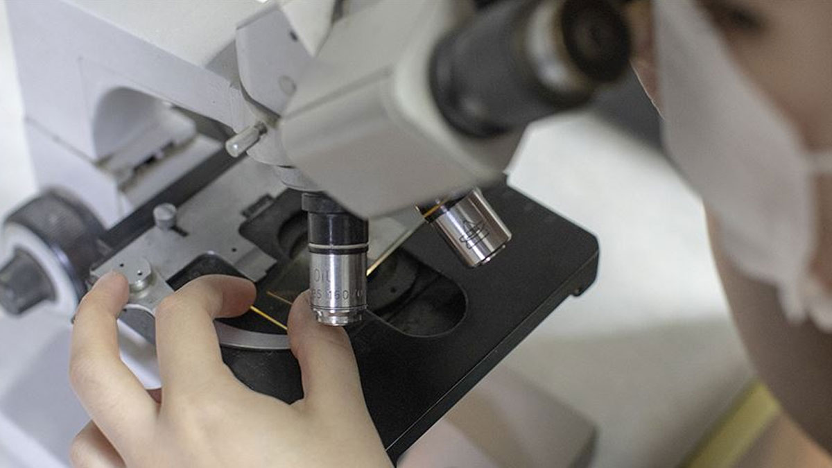 Türk bilim insanları 4 ölümcül virüs buldu
