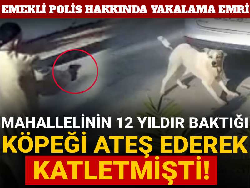 Mahallelinin 12 yıldır baktığı köpeği ateş ederek katletmişti! Emekli polis hakkında yakalama emri