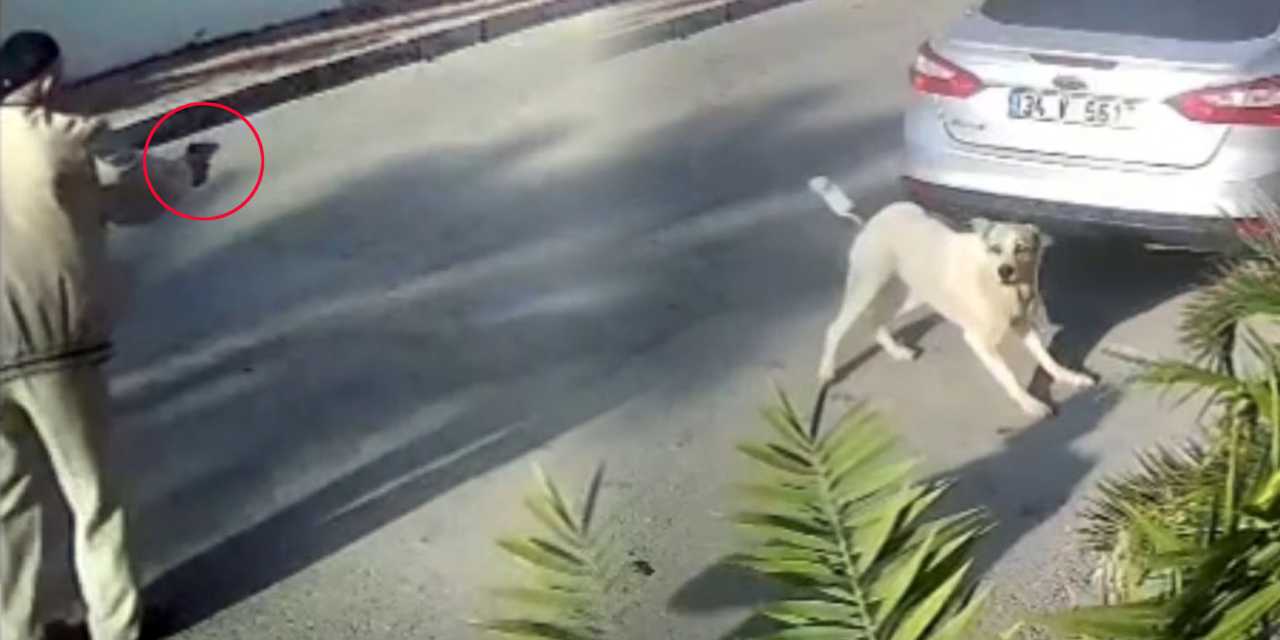 Mahallelinin 12 yıldır baktığı köpeği ateş ederek katletmişti! Emekli polis hakkında yakalama emri