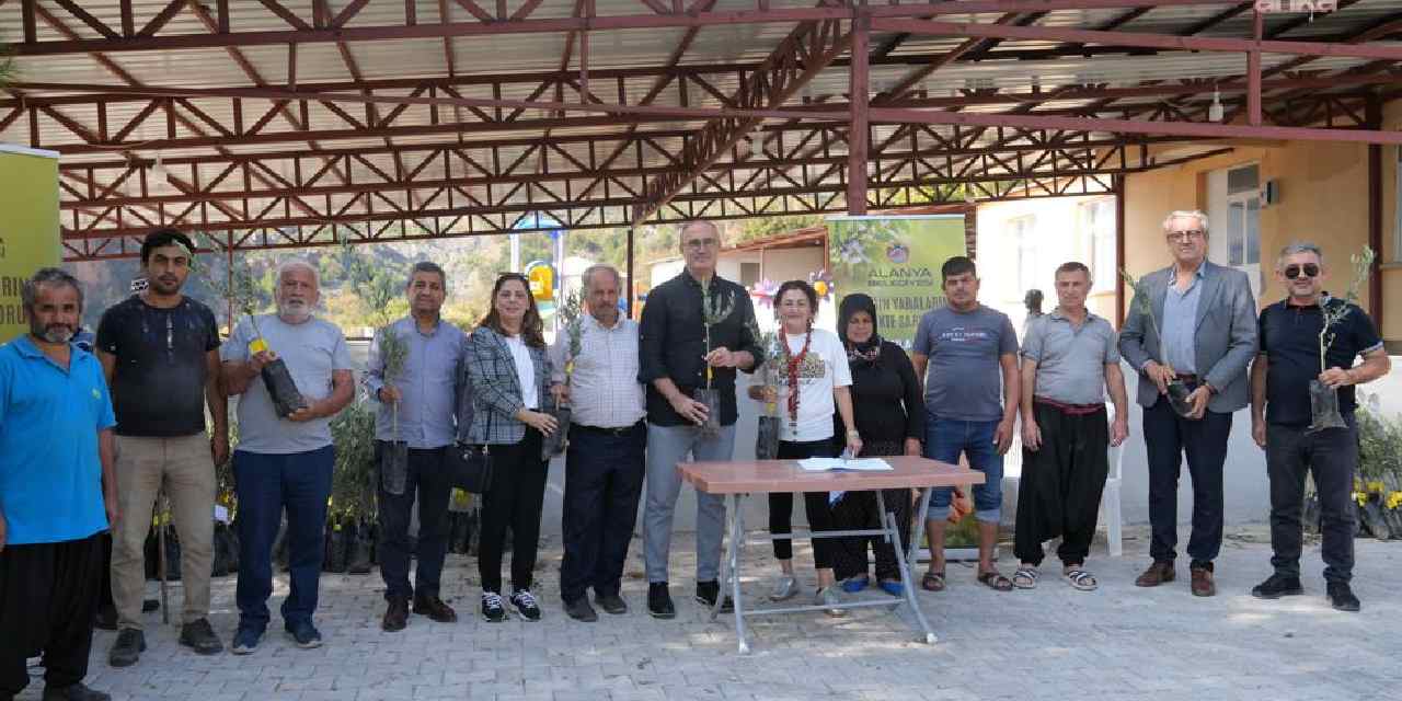 Üreticilere bin 88 adet dağıtıldı