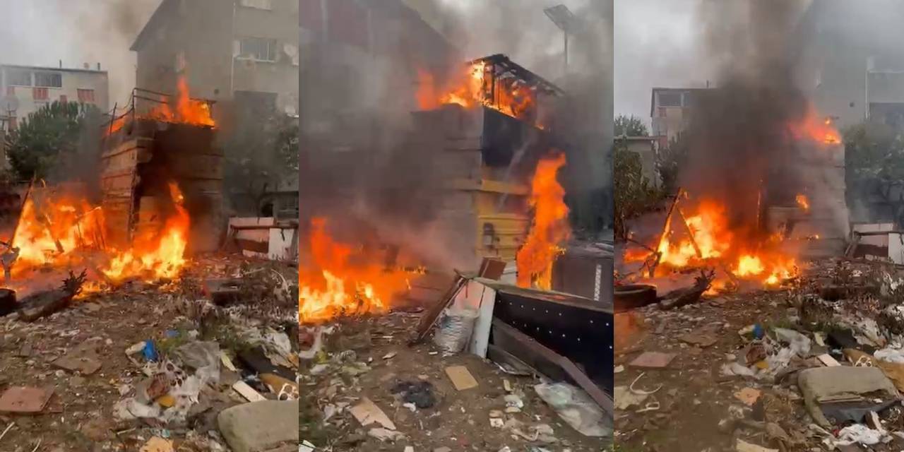 Çocukların oyunu yangına neden oldu: 50 hayvan öldü