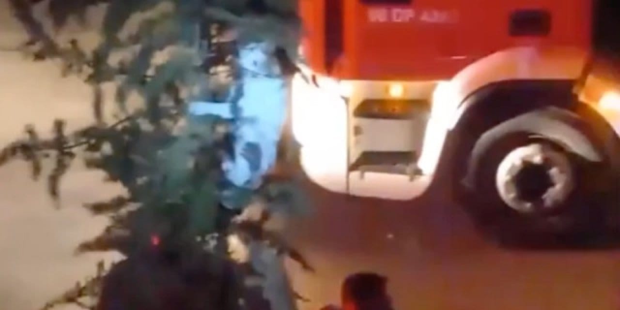 Mahsur kalan kedi için Ankara seferber oldu