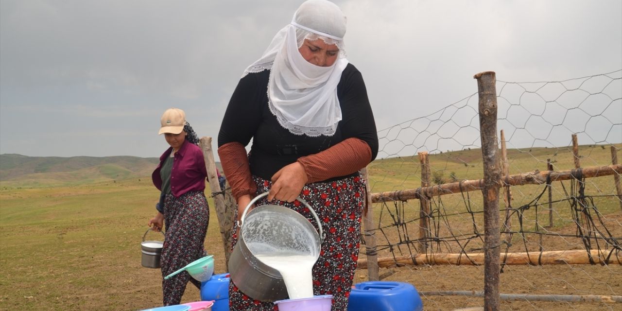 Sofradaki kriz büyüyor! Et bitti şimdi de süt bitiyor