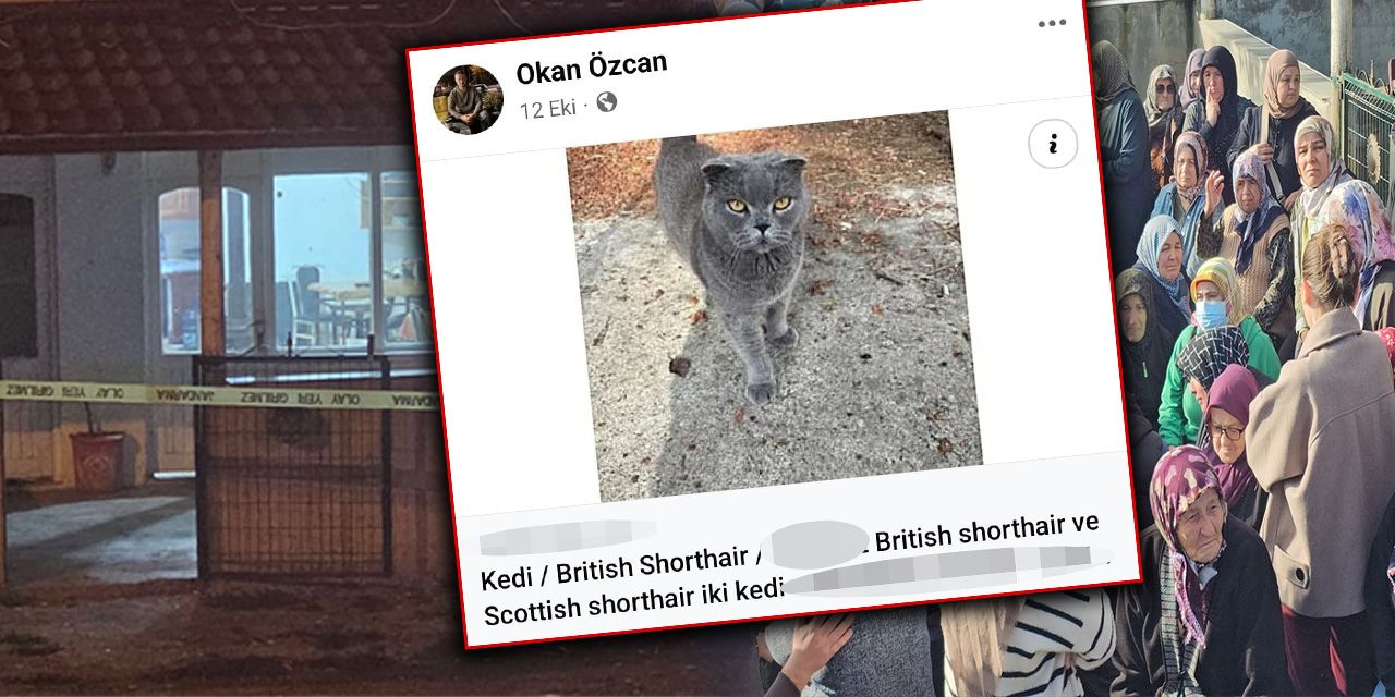 Cins kedi satıp tüfek aldı 2 kişiyi öldürdü!