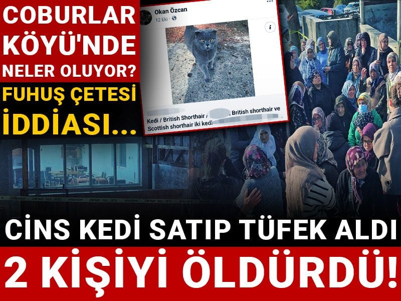 Cins kedi satıp tüfek aldı 2 kişiyi öldürdü!