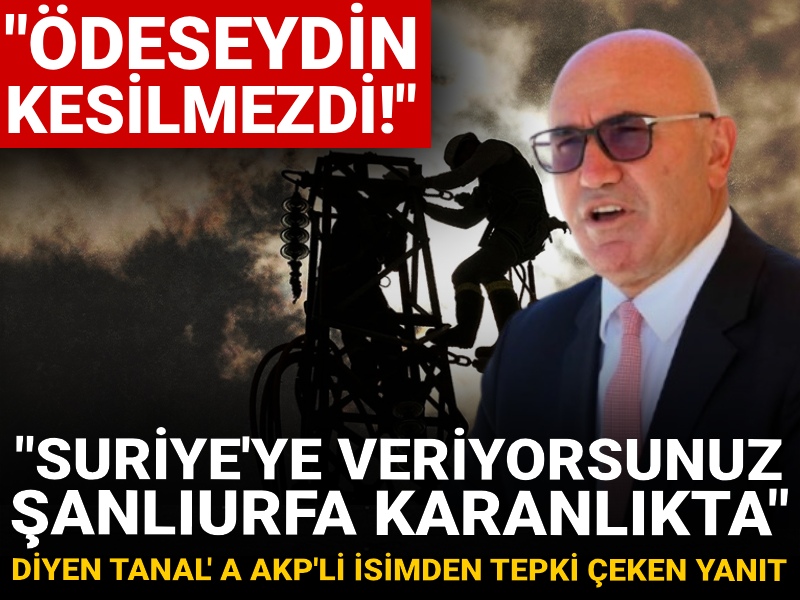 "Suriye'ye veriyorsunuz, Şanlıurfa karanlıkta" diyen Tanal'a AKP'li isimden tepki çeken yanıt