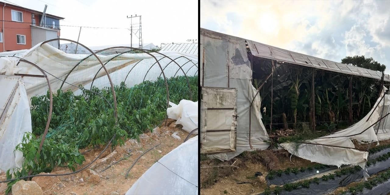 Mersin'de fırtına ve hortum: Seralar yerle bir oldu